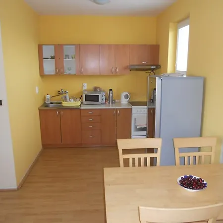 Guest house Penzion Kaplna 3*