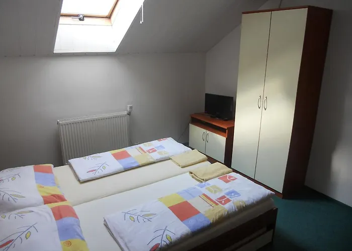 Guest house Penzion Kaplna 3*